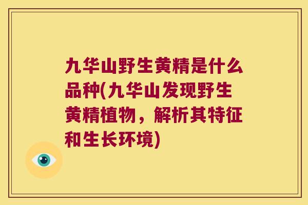 九华山野生黄精是什么品种(九华山发现野生黄精植物,解析其特征和生长环境) 九华山野生黄精是什么品种(九华山发现野生黄精植物,解析其特征和生长环境)