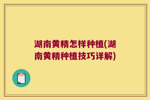 湖南黄精怎样种植(湖南黄精种植技巧详解)