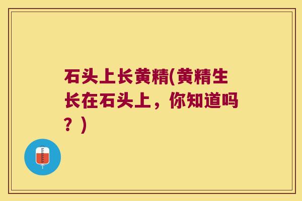 石头上长黄精(黄精生长在石头上，你知道吗？)