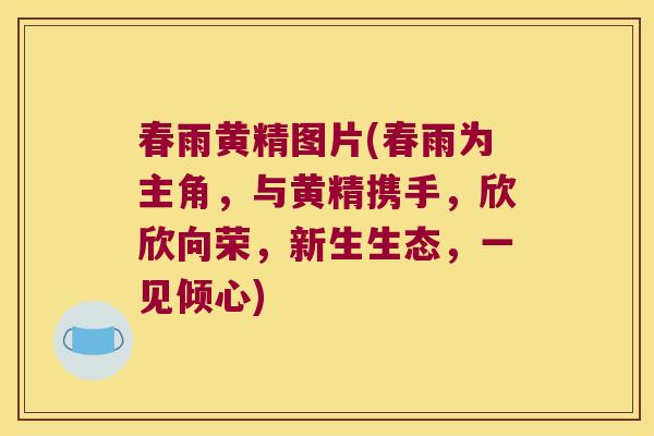 春雨黄精图片(春雨为主角，与黄精携手，欣欣向荣，新生生态，一见倾心)