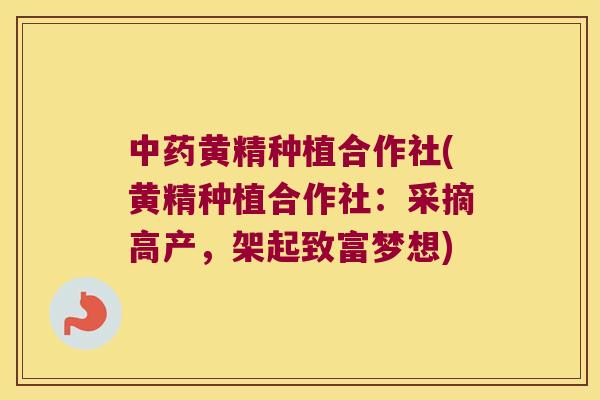 黄精种植合作社(黄精种植合作社：采摘高产，架起致富梦想)