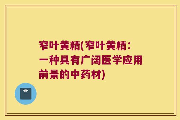 窄叶黄精(窄叶黄精：一种具有广阔医学应用前景的材)