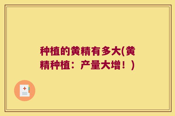 种植的黄精有多大(黄精种植:产量大增!) 种植的黄精有多大(黄精种植:产量大增!)