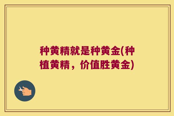 种黄精就是种黄金(种植黄精，价值胜黄金)