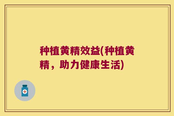 种植黄精效益(种植黄精，助力健康生活)