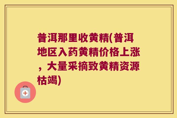 普洱那里收黄精(普洱地区入药黄精价格上涨,大量采摘致黄精资源枯竭) 普洱那里收黄精(普洱地区入药黄精价格上涨,大量采摘致黄精资源枯竭)