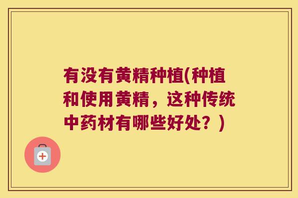 有没有黄精种植(种植和使用黄精，这种传统材有哪些好处？)