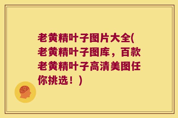 老黄精叶子图片大全(老黄精叶子图库,百款老黄精叶子高清美图任你挑选!) 老黄精叶子图片大全(老黄精叶子图库,百款老黄精叶子高清美图任你挑选!)