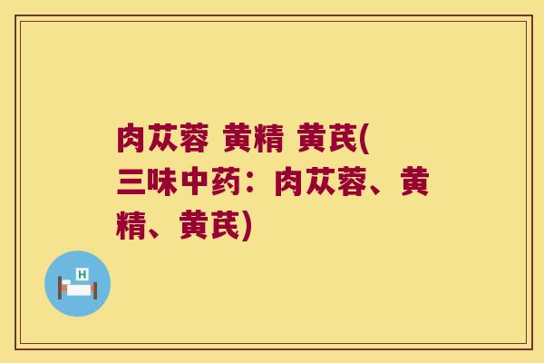 肉苁蓉 黄精 黄芪(三味:肉苁蓉、黄精、黄芪) 肉苁蓉 黄精 黄芪(三味:肉苁蓉、黄精、黄芪)