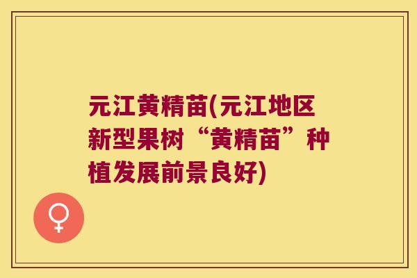 元江黄精苗(元江地区新型果树“黄精苗”种植发展前景良好) 元江黄精苗(元江地区新型果树“黄精苗”种植发展前景良好)