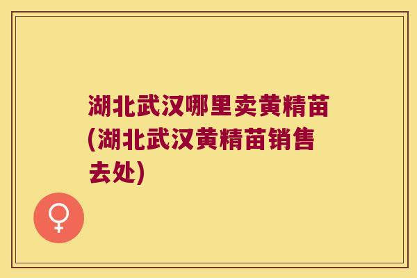 湖北武汉哪里卖黄精苗(湖北武汉黄精苗销售去处) 湖北武汉哪里卖黄精苗(湖北武汉黄精苗销售去处)