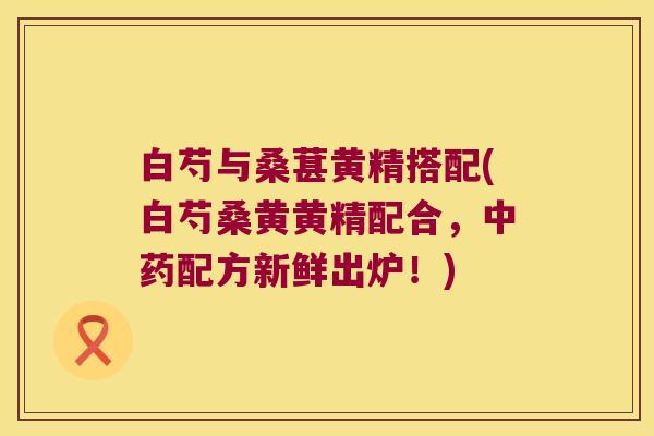 白芍与桑葚黄精搭配(白芍桑黄黄精配合，配方新鲜出炉！)