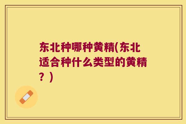 东北种哪种黄精(东北适合种什么类型的黄精?) 东北种哪种黄精(东北适合种什么类型的黄精?)