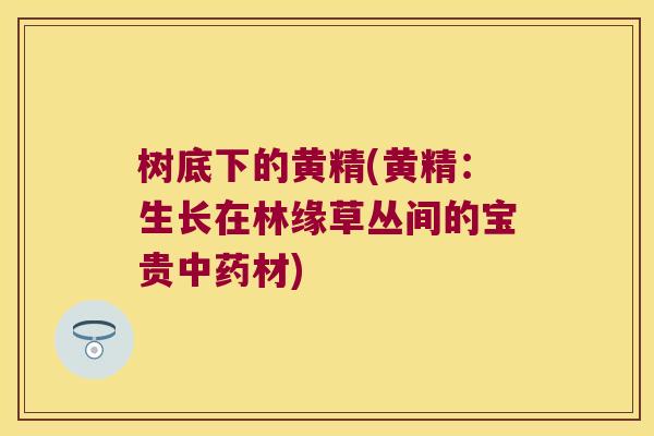 树底下的黄精(黄精:生长在林缘草丛间的宝贵材) 树底下的黄精(黄精:生长在林缘草丛间的宝贵材)