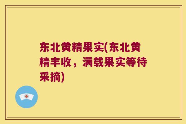 东北黄精果实(东北黄精丰收，满载果实等待采摘)