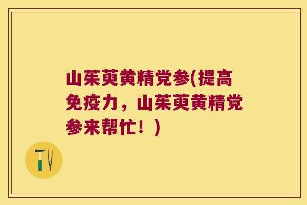 山茱萸黄精党参(提高力,山茱萸黄精党参来帮忙!) 山茱萸黄精党参(提高力,山茱萸黄精党参来帮忙!)