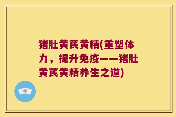 猪肚黄芪黄精(重塑体力，提升——猪肚黄芪黄精养生之道)