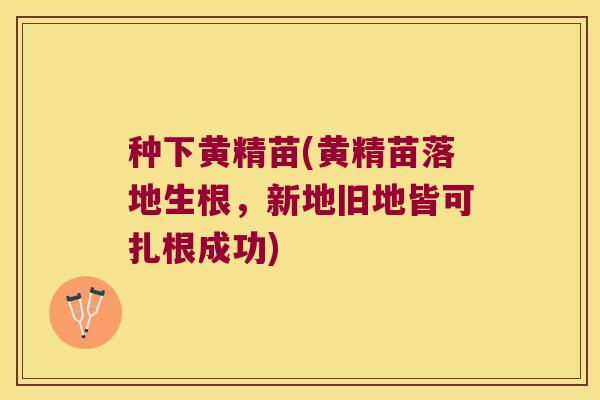种下黄精苗(黄精苗落地生根,新地旧地皆可扎根成功) 种下黄精苗(黄精苗落地生根,新地旧地皆可扎根成功)