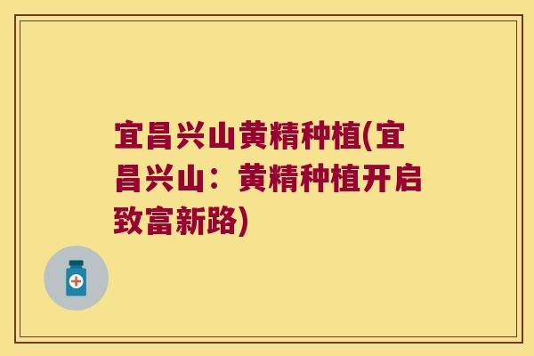 宜昌兴山黄精种植(宜昌兴山：黄精种植开启致富新路)