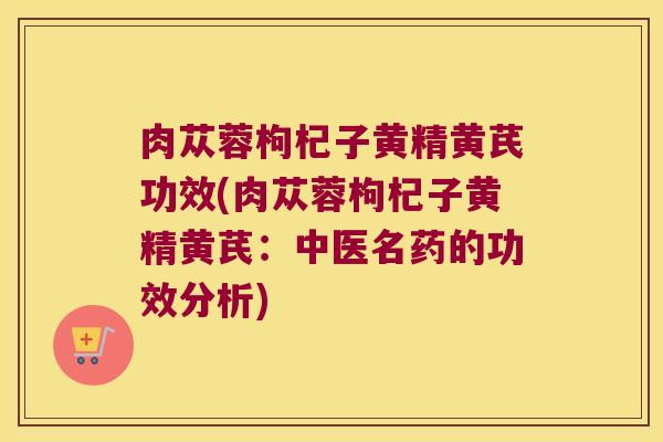 肉苁蓉枸杞子黄精黄芪功效(肉苁蓉枸杞子黄精黄芪：中医名药的功效分析)