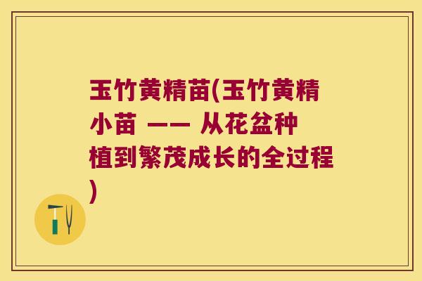 玉竹黄精苗(玉竹黄精小苗 —— 从花盆种植到繁茂成长的全过程) 玉竹黄精苗(玉竹黄精小苗 —— 从花盆种植到繁茂成长的全过程)