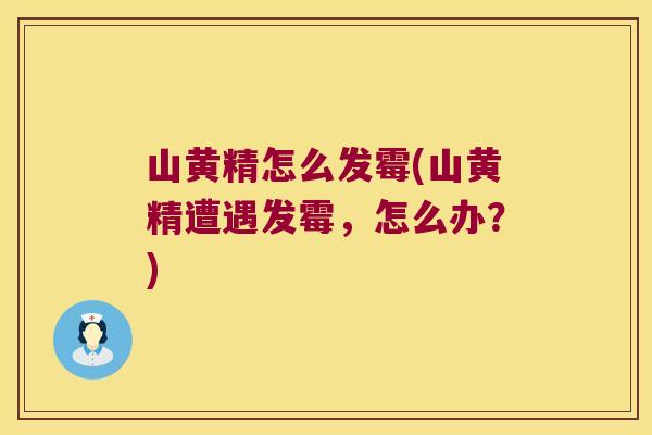 山黄精怎么发霉(山黄精遭遇发霉,怎么办?) 山黄精怎么发霉(山黄精遭遇发霉,怎么办?)