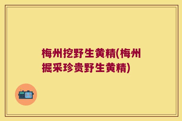 梅州挖野生黄精(梅州掘采珍贵野生黄精)