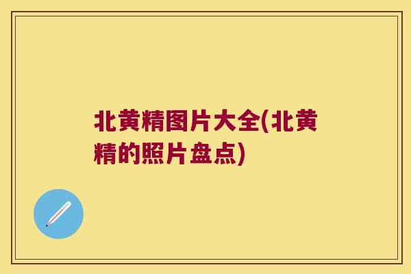 北黄精图片大全(北黄精的照片盘点)