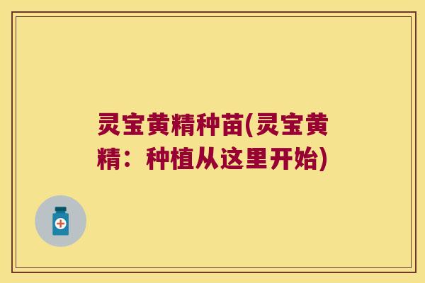 灵宝黄精种苗(灵宝黄精:种植从这里开始) 灵宝黄精种苗(灵宝黄精:种植从这里开始)