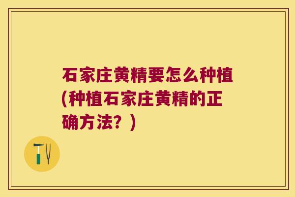 石家庄黄精要怎么种植(种植石家庄黄精的正确方法？)