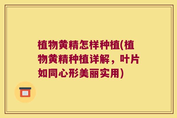 植物黄精怎样种植(植物黄精种植详解,叶片如同心形美丽实用) 植物黄精怎样种植(植物黄精种植详解,叶片如同心形美丽实用)