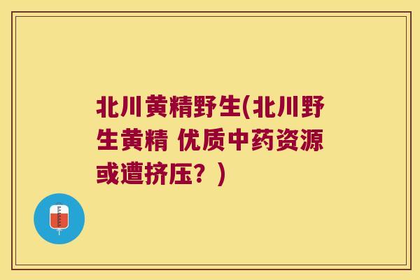 北川黄精野生(北川野生黄精 优质资源或遭挤压？)