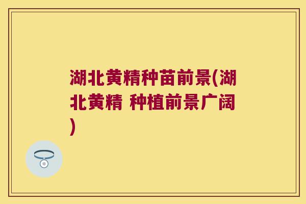 湖北黄精种苗前景(湖北黄精 种植前景广阔)