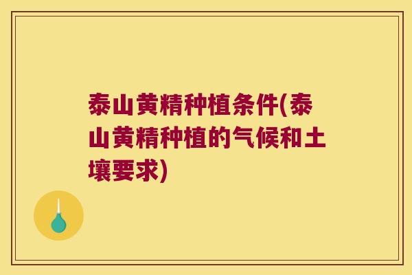 泰山黄精种植条件(泰山黄精种植的气候和土壤要求)