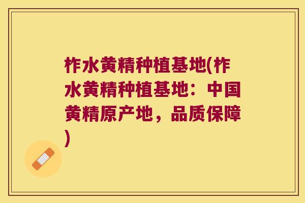 柞水黄精种植基地(柞水黄精种植基地:中国黄精原产地,品质保障) 柞水黄精种植基地(柞水黄精种植基地:中国黄精原产地,品质保障)