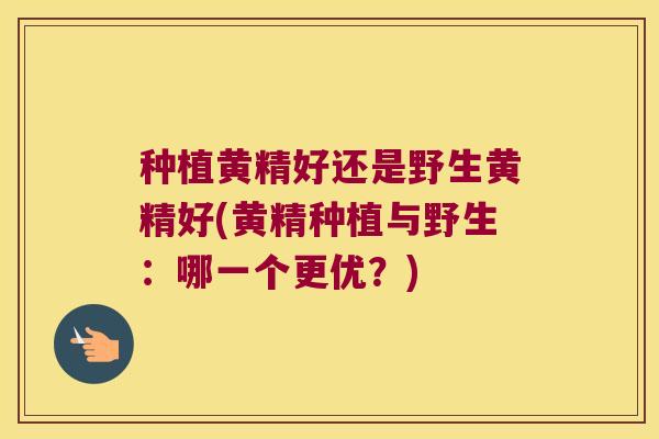 种植黄精好还是野生黄精好(黄精种植与野生：哪一个更优？)