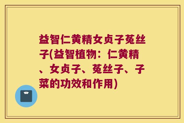 益智仁黄精女贞子菟丝子(益智植物：仁黄精、女贞子、菟丝子、子菜的功效和作用)