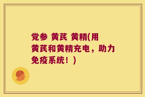 党参 黄芪 黄精(用黄芪和黄精充电,助力系统!) 党参 黄芪 黄精(用黄芪和黄精充电,助力系统!)