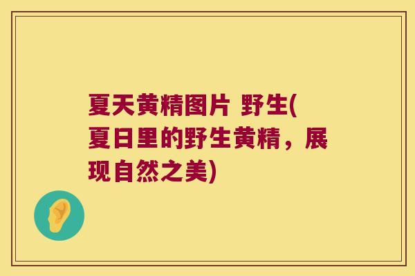 夏天黄精图片 野生(夏日里的野生黄精，展现自然之美)