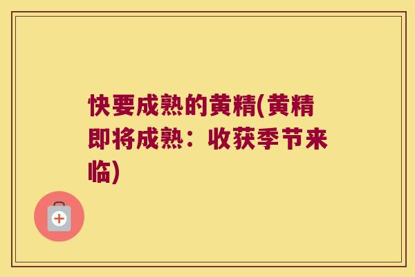 快要成熟的黄精(黄精即将成熟:收获季节来临) 快要成熟的黄精(黄精即将成熟:收获季节来临)