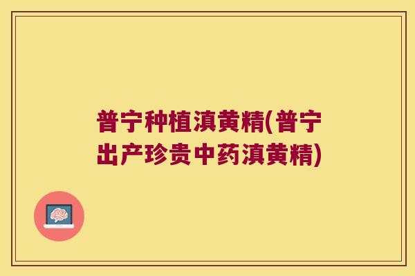 普宁种植滇黄精(普宁出产珍贵滇黄精) 普宁种植滇黄精(普宁出产珍贵滇黄精)