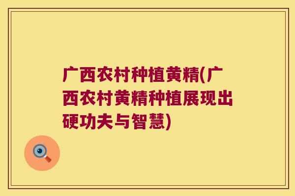 广西农村种植黄精(广西农村黄精种植展现出硬功夫与智慧) 广西农村种植黄精(广西农村黄精种植展现出硬功夫与智慧)