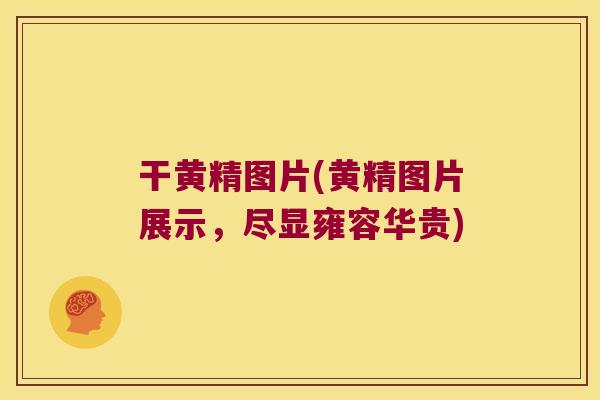 干黄精图片(黄精图片展示，尽显雍容华贵)