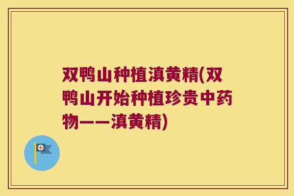 双鸭山种植滇黄精(双鸭山开始种植珍贵中——滇黄精) 双鸭山种植滇黄精(双鸭山开始种植珍贵中——滇黄精)