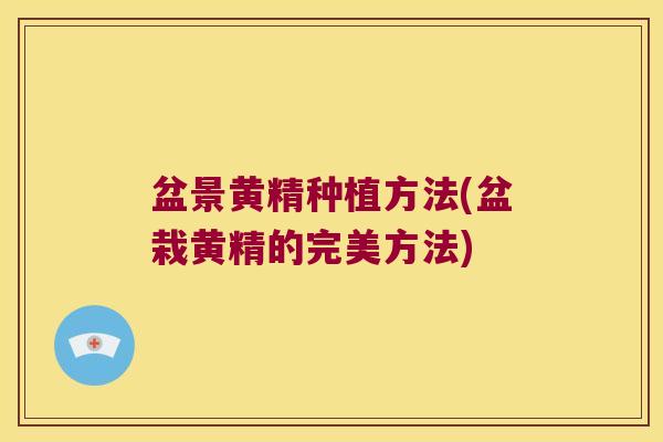 盆景黄精种植方法(盆栽黄精的完美方法) 盆景黄精种植方法(盆栽黄精的完美方法)