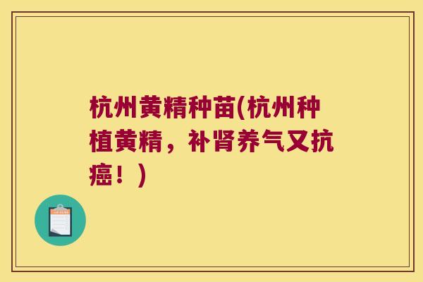 杭州黄精种苗(杭州种植黄精，补养气又抗！)