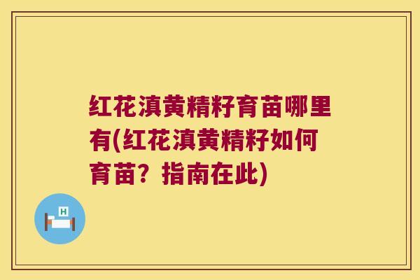 红花滇黄精籽育苗哪里有(红花滇黄精籽如何育苗？指南在此)