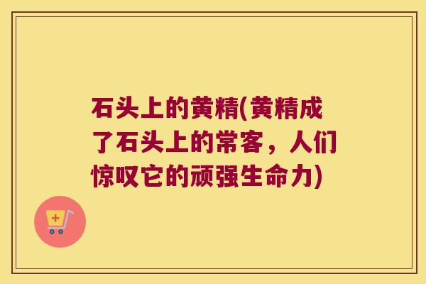 石头上的黄精(黄精成了石头上的常客,人们惊叹它的顽强生命力) 石头上的黄精(黄精成了石头上的常客,人们惊叹它的顽强生命力)