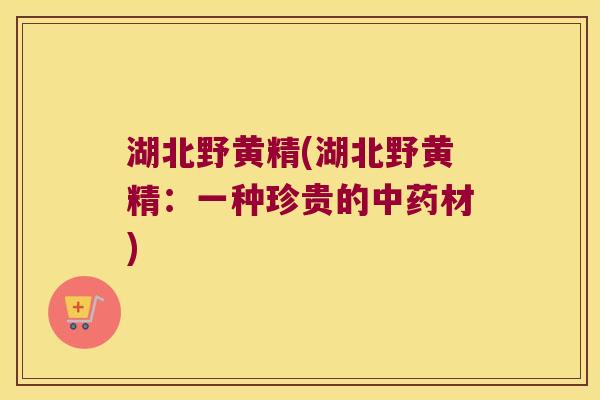 湖北野黄精(湖北野黄精:一种珍贵的材) 湖北野黄精(湖北野黄精:一种珍贵的材)