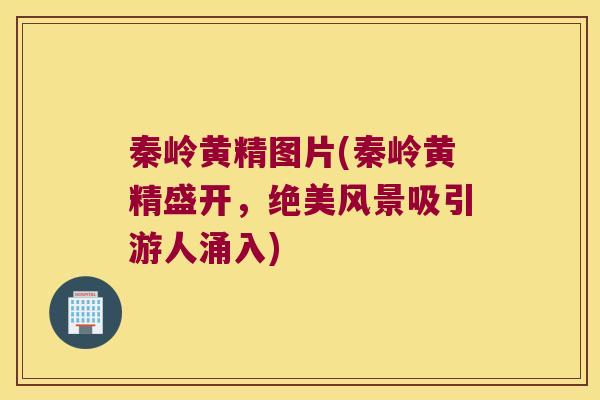 秦岭黄精图片(秦岭黄精盛开，绝美风景吸引游人涌入)